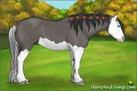 Horse Color:Grullo Splash 