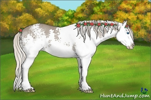 Horse Color:White Spotted Silver Grullo Splash Rabicano 