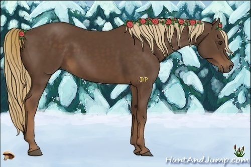 Horse Color:Liver Chestnut 