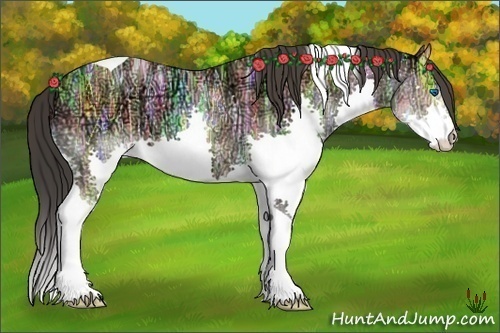 Horse Color:Sable Champagne Ice Splash Tobiano 