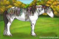 Horse Color:Sable Champagne Ice Splash Tobiano 