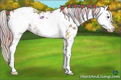 Horse Color:Nacre Chocolate Palomino Sabino 