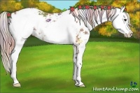 Horse Color:Nacre Chocolate Palomino Sabino