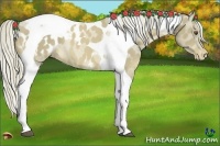 Horse Color:Palomino Mushroom Tobiano Blanket 