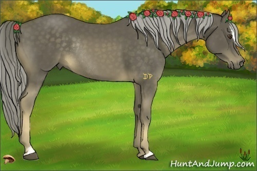 Horse Color:Chocolate Palomino Sabino Rabicano 