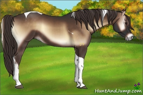 Horse Color:Liver Red Onyx Tobiano 