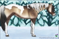 Horse Color:Liver Red Onyx Tobiano