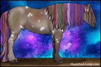 Horse Color:Painted White Spotted Chocolate Grullo Rabicano