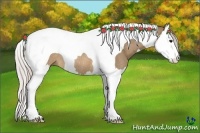 Horse Color:Silver Brown Dun Splash Tobiano Rabicano