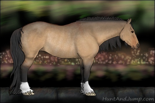 Horse Color:Brown Dun Rabicano 