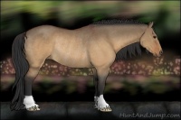 Horse Color:Brown Dun Rabicano