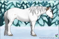 Horse Color:Brown Dun Splash Tobiano Rabicano 