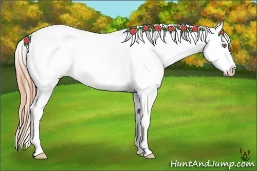 Horse Color:Watercolor Gold Champagne Splash Tobiano Varnish 