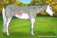 Horse Color:Watercolor Silver Brown Ice Splash 