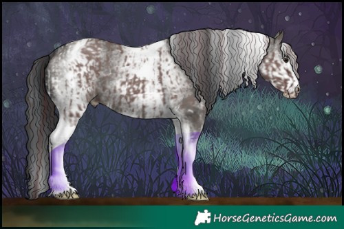 Horse Color:White Spotted Chocolate Grullo Tobiano and White Spotted Grullo