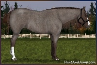 Horse Color:Liver Red Roan