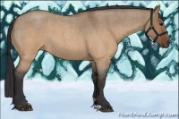 Horse Color:Brown Roan Dun 