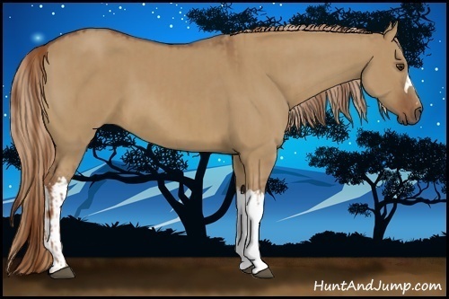 Horse Color:Red Dun and Red Dun