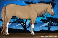 Horse Color:Red Dun and Red Dun