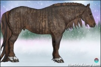 Horse Color:Bay Dun Brindle  and Liver Chestnut 