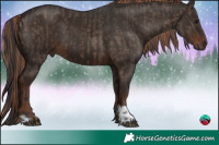Horse Color:Brown Dun Brindle  and Liver Chestnut 