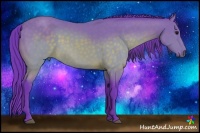 Horse Color:Watercolor Buckskin 