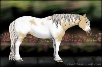 Horse Color:Silver Bay Dun Sabino Tobiano Frame Rabicano 