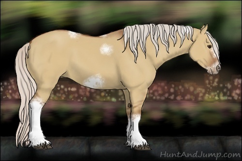 Horse Color:Silver Bay Dun Sabino Tobiano Frame Rabicano