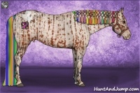Horse Color:Painted Brown Appaloosa and Painted Chestnut Pearl Appaloosa