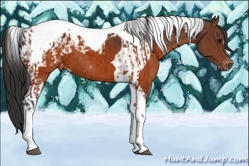 Horse Color:Brown Tobiano Varnish and Brown Tobiano Varnish