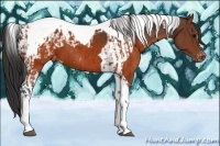Horse Color:Brown Tobiano Varnish  and Brown Tobiano Varnish 