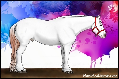 Horse Color:Bay Splash Tobiano Blanket and White Spotted Bay Splash Tobiano Blanket