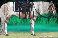 Horse Color:White Spotted Silver Bay Ice Tobiano