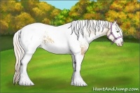 Horse Color:White Spotted Silver Classic Champagne Tobiano 