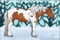 Horse Color:Silver Bay Tobiano