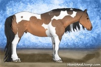 Horse Color:Buckskin Tobiano