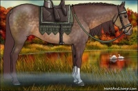 Horse Color:Chocolate Buckskin 