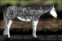 Horse Color:Black Ice Splash 