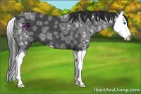Horse Color:Blue Ice Roan Splash