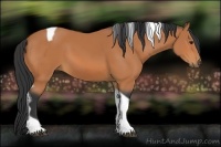 Horse Color:Bay Tobiano