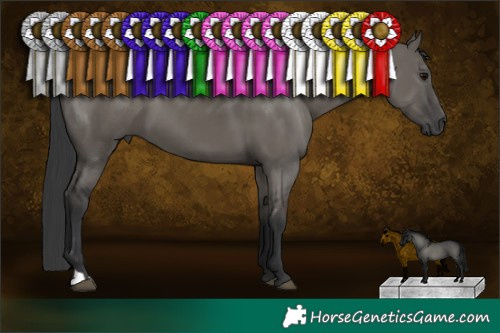 Horse Color:Grullo 
