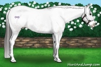 Horse Color:Brown Sabino Varnish 