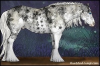 Horse Color:Silver Buckskin Ice Pearl Onyx Sabino Splash Brindle 