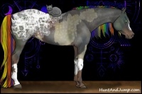 Horse Color:Painted Chocolate Palomino Ice and Painted Liver Chestnut Ice