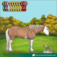 Horse Color:Chestnut Mushroom Splash 