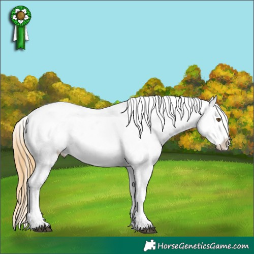 Horse Color:Buckskin Mushroom Varnish
