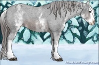 Horse Color:White Spotted Brown Splash Varnish 
