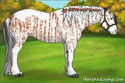 Horse Color:Bay Splash Tobiano  and Bay Splash Tobiano 