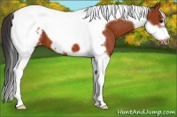 Horse Color:Bay Tobiano Frame Snowcap 