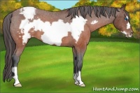 Horse Color:Brown Roan Frame Varnish 